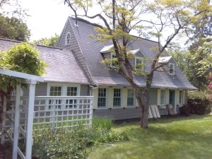 Roof Cleaning