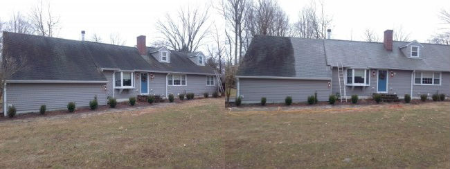 Soft Wash Roof Cleaning Project in Norwalk, CT