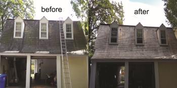 cedar roof cleaning