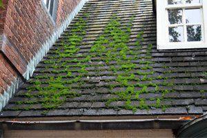 roof cleaning in Fairfield County