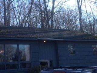 Newtown Winter Roof Softwash